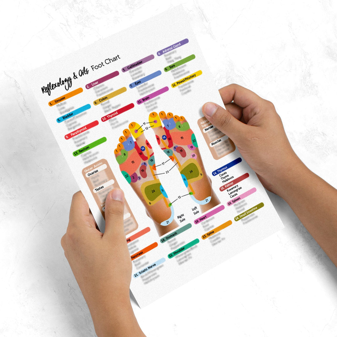 Reflexology Points Chart (Hand & Foot) Media Your Oil Tools 