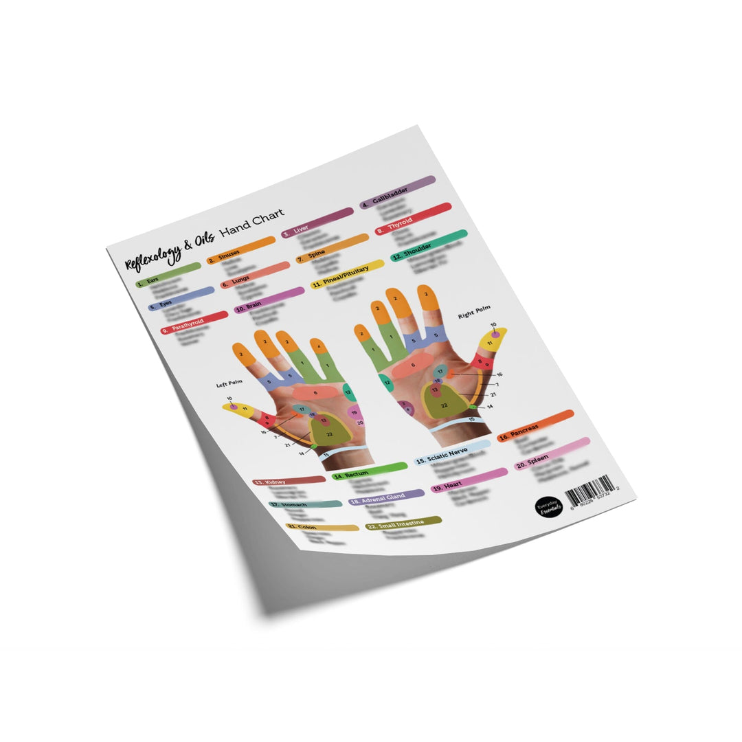 Reflexology Points Chart (Hand & Foot) Media Your Oil Tools 