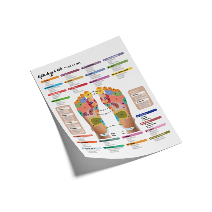 Reflexology Points Chart (Hand & Foot) Media Your Oil Tools 