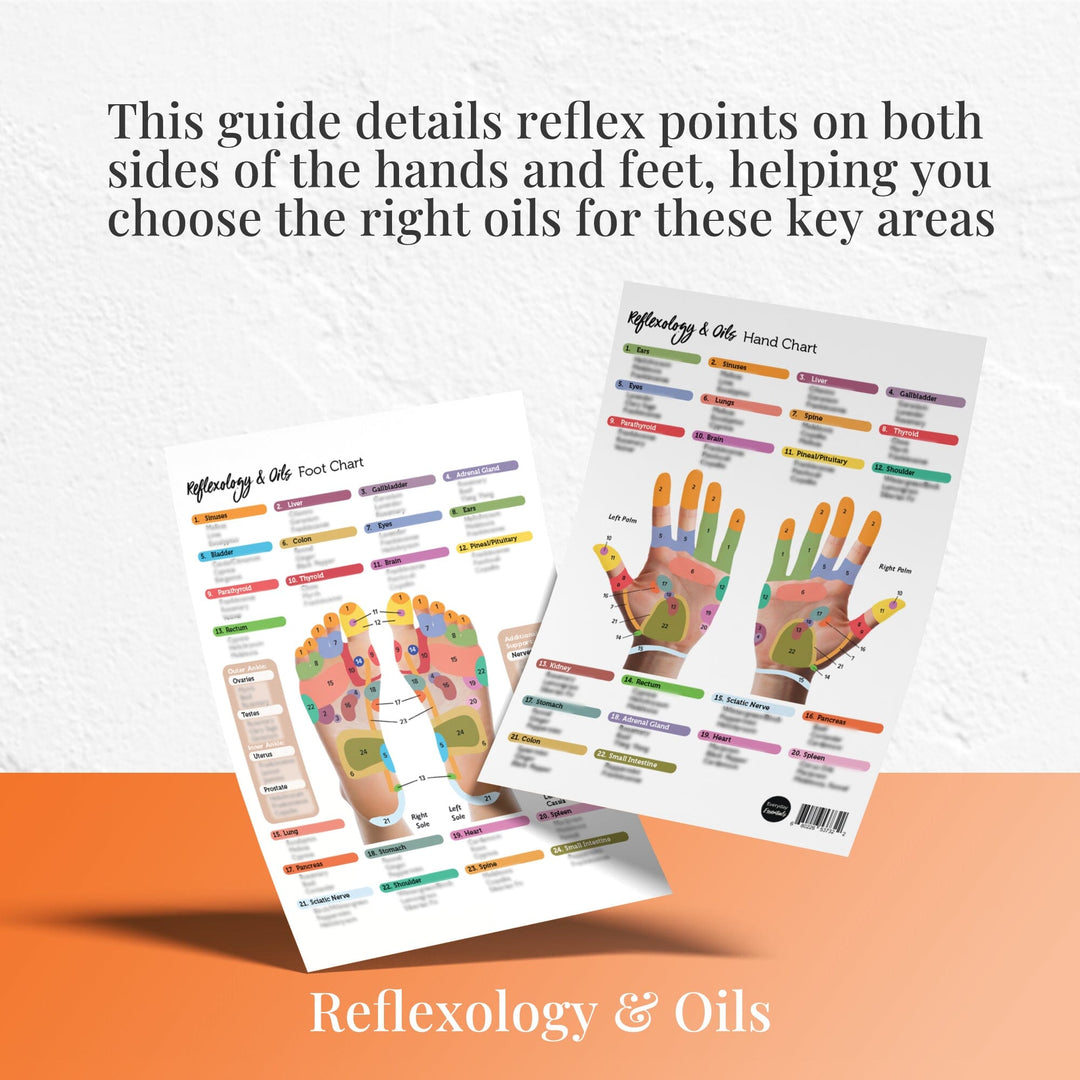 Reflexology Points Chart (Hand & Foot) Media Your Oil Tools 