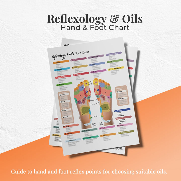 Reflexology Points Chart (Hand & Foot) Media Your Oil Tools 